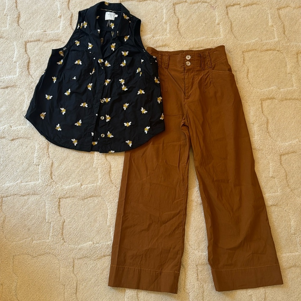 Anthropologie top and ankle pants